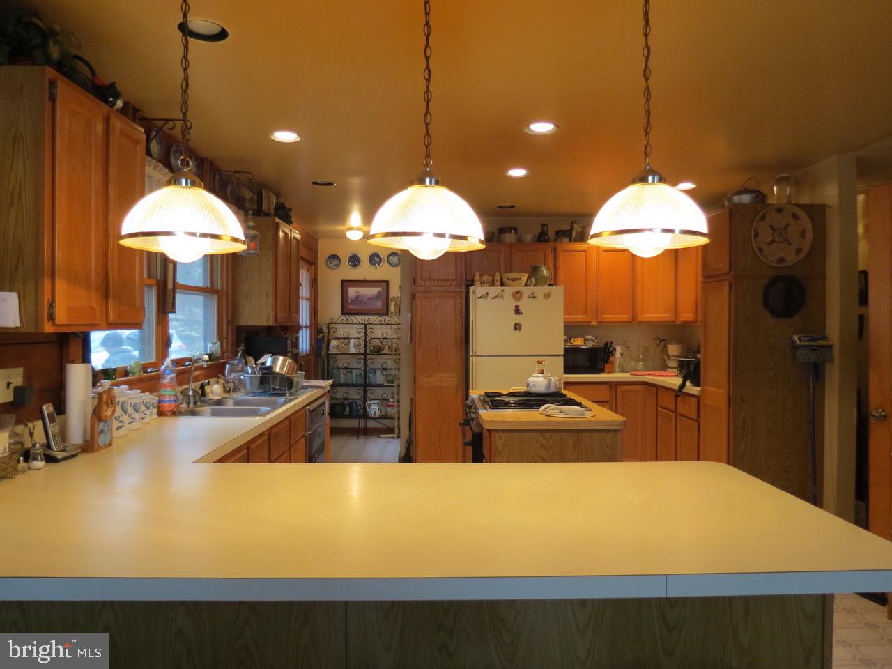 67 Briar Ridge Lane Sperryville, VA 22740 - Photo 10 of 16 Kitchen 1