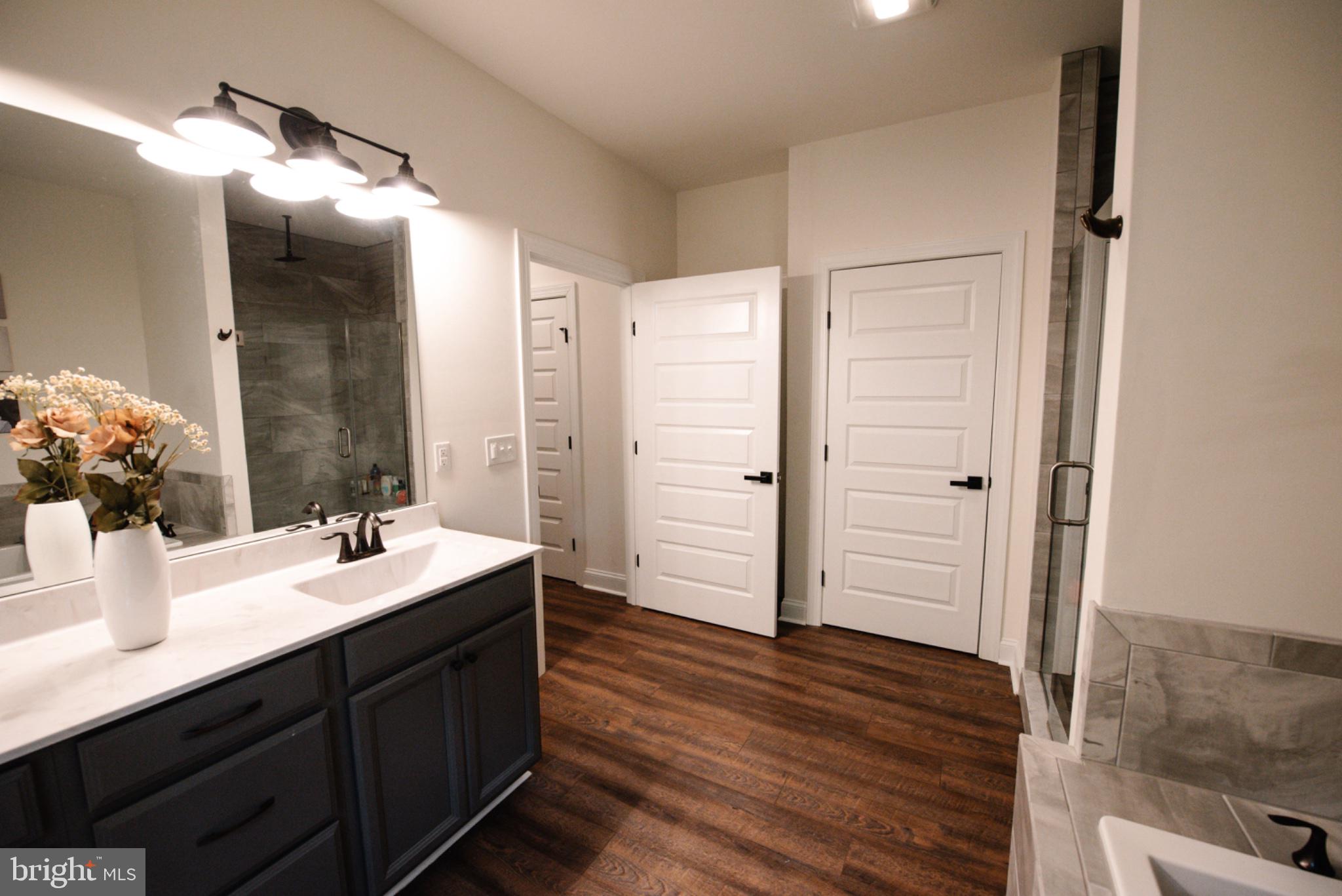 24268 Jerrico Road Lincoln, DE 19960 - Photo 20 of 44 Modern bathroom with sleek design.