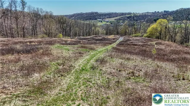 a view of a dry yard with trees in the background