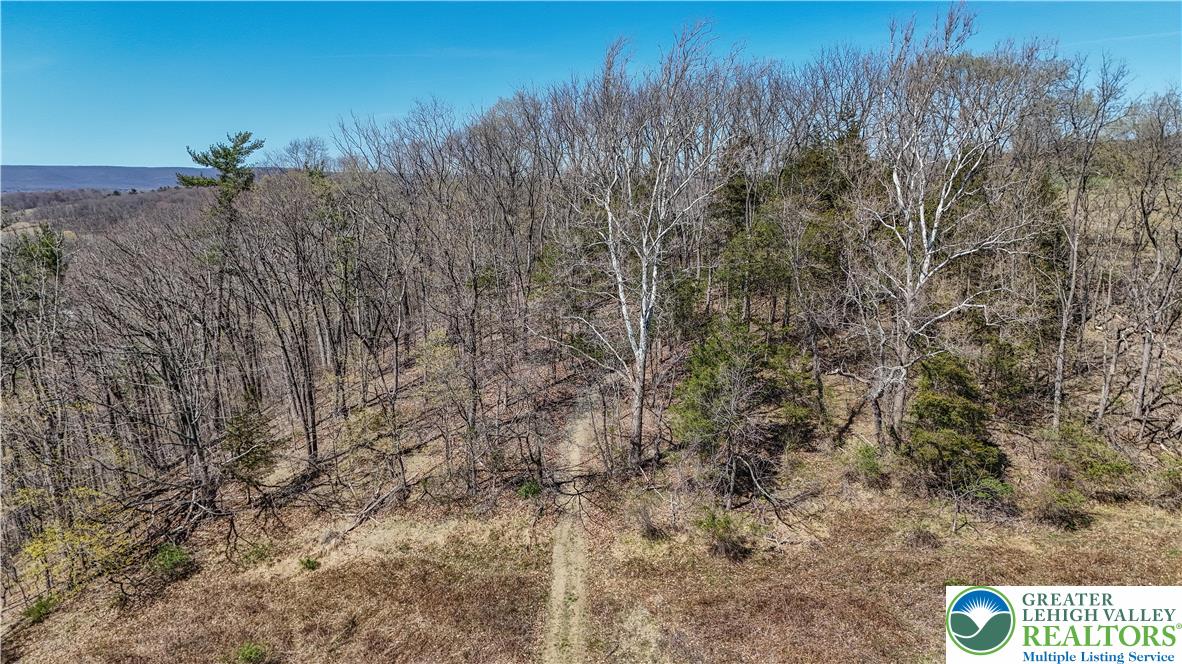 50 Nagys Hill Road Bangor, PA 18013 - Photo 6 of 8 a view of a dry yard with trees in the background