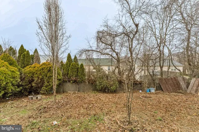a backyard of a house with lots of trees