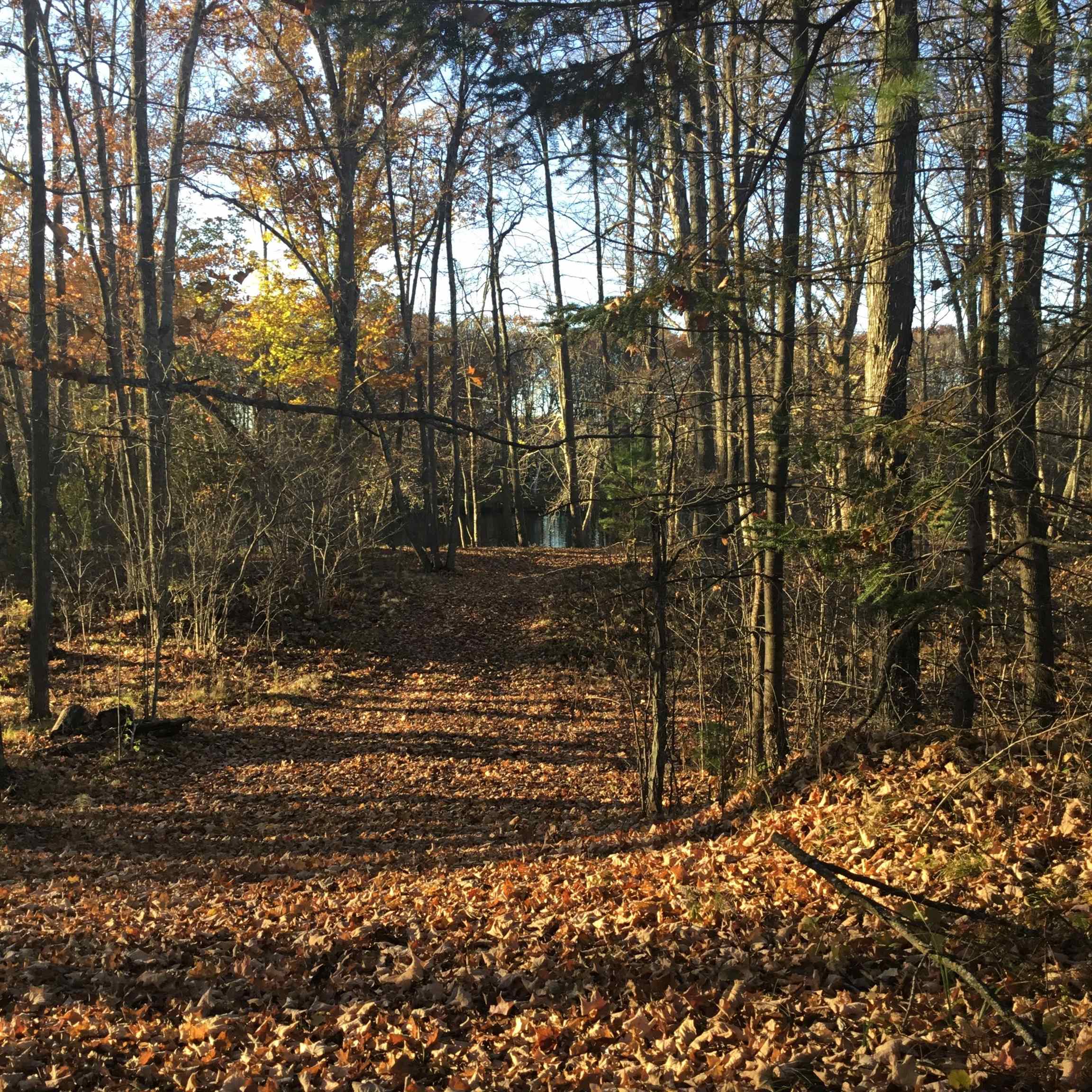 N11169 Rademaker Road, Unit 12 Wausaukee, WI 54177 - Photo 1 of 9