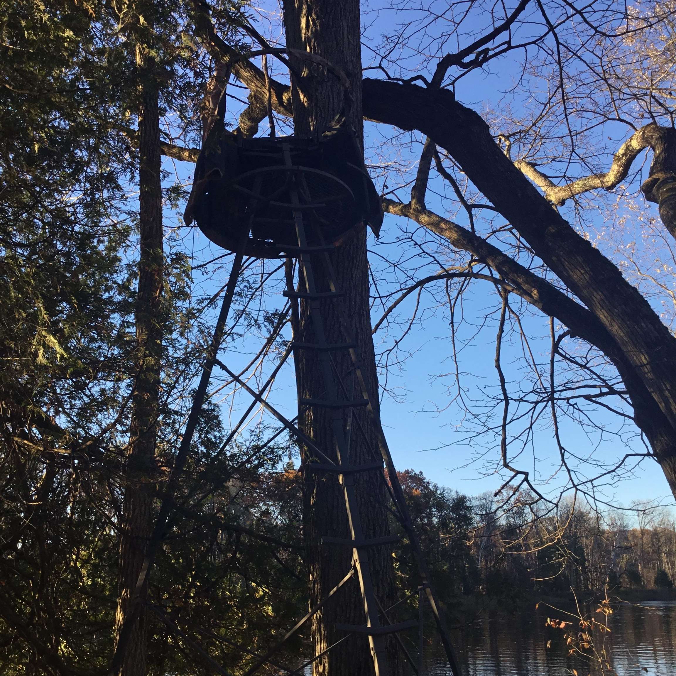 N11169 Rademaker Road, Unit 12 Wausaukee, WI 54177 - Photo 11 of 30