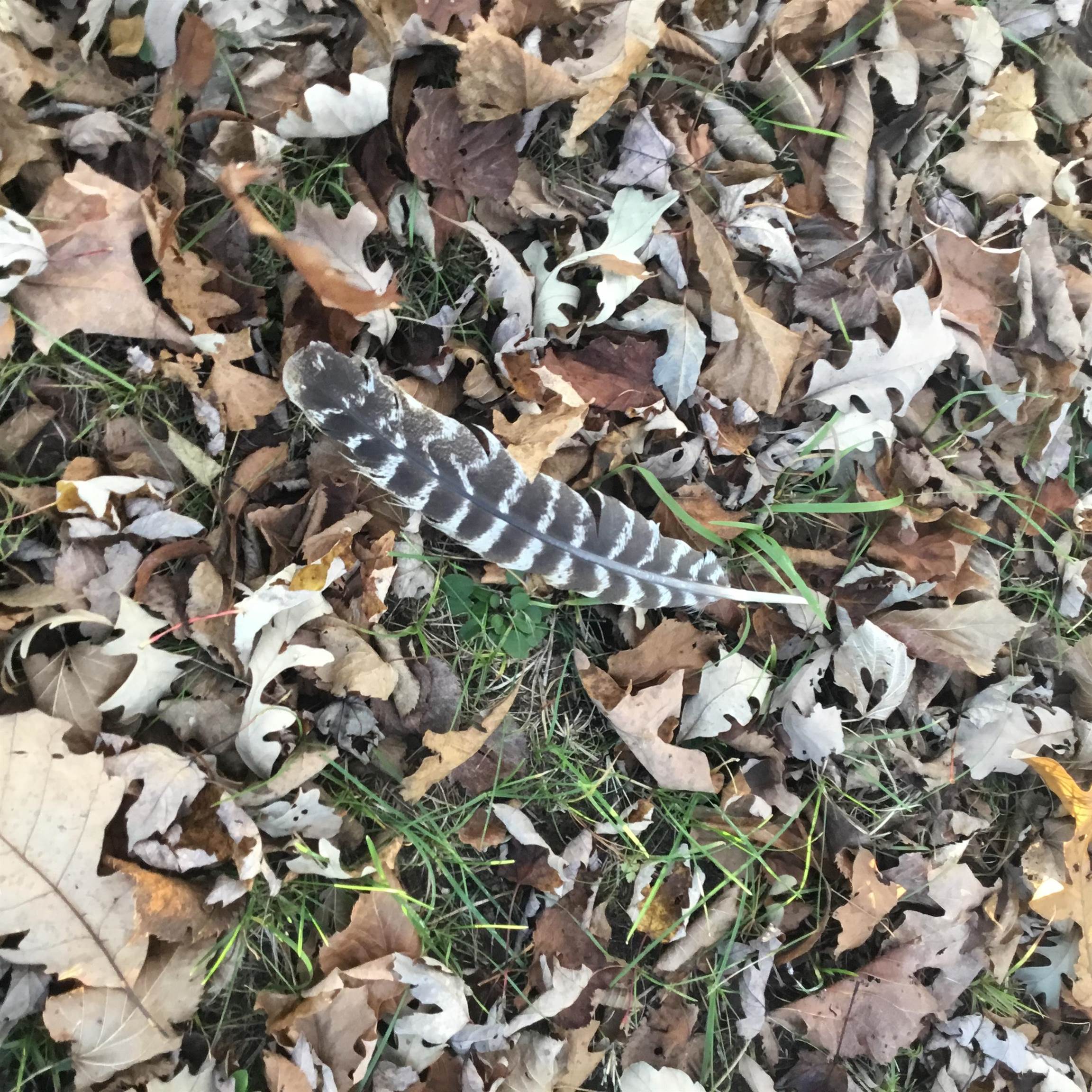 N11169 Rademaker Road, Unit 12 Wausaukee, WI 54177 - Photo 12 of 30