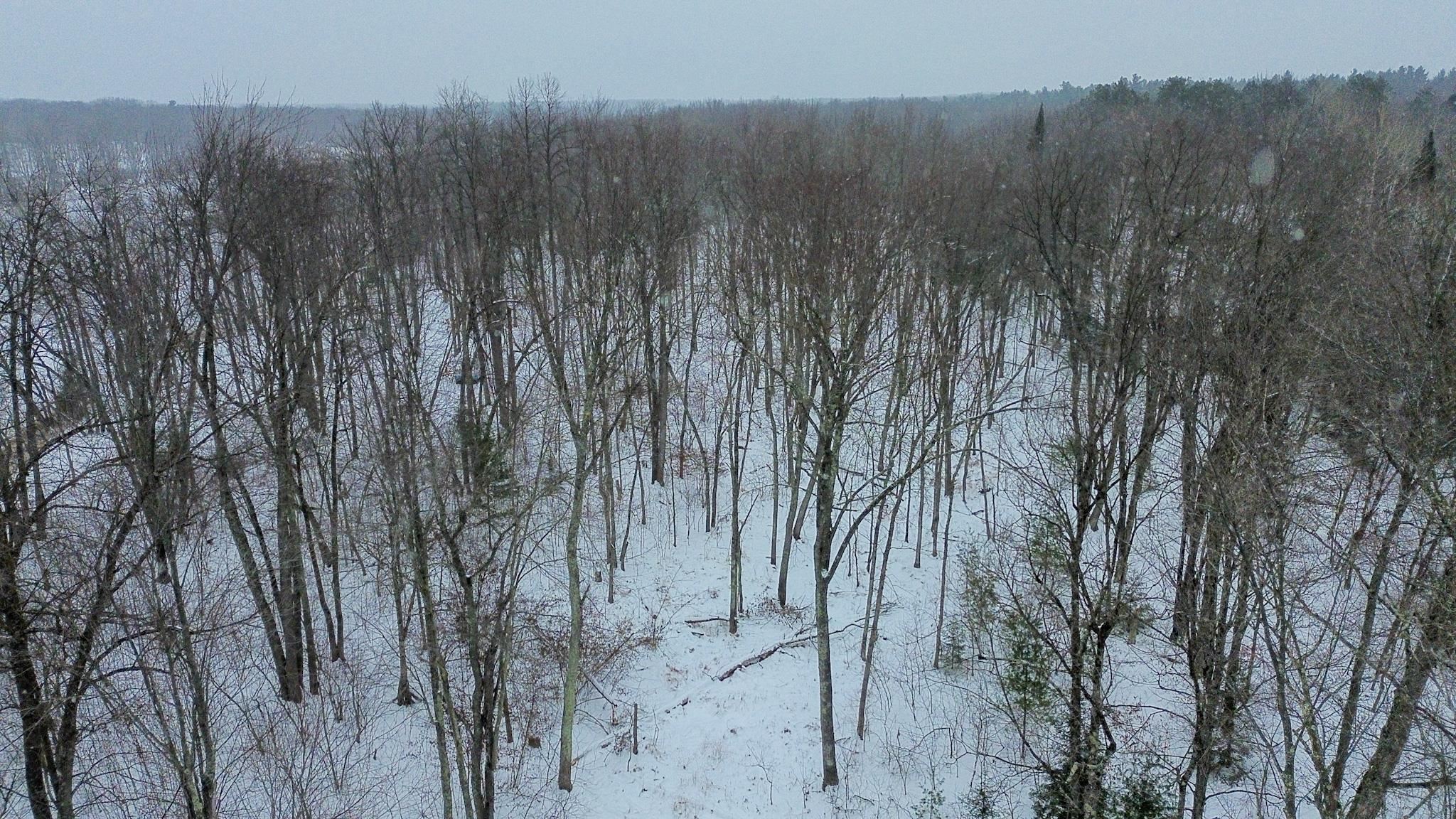 N11169 Rademaker Road, Unit 12 Wausaukee, WI 54177 - Photo 26 of 30