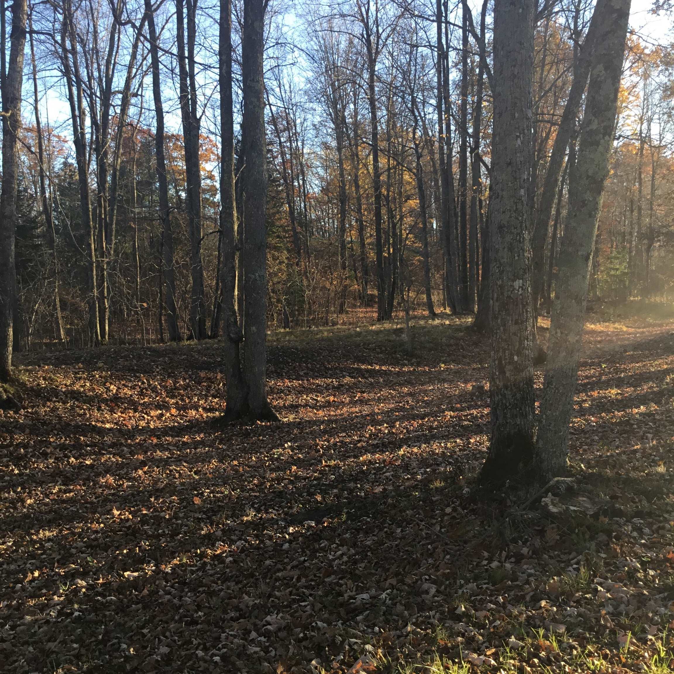 N11169 Rademaker Road, Unit 12 Wausaukee, WI 54177 - Photo 6 of 30