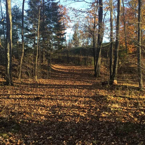 $195,000 | N11169 Rademaker Road, Unit 12, Wausaukee, WI 54177