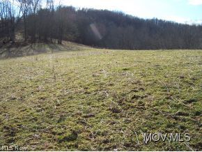 0 Barrcut Road Spencer, WV 25276 - Photo 10 of 14