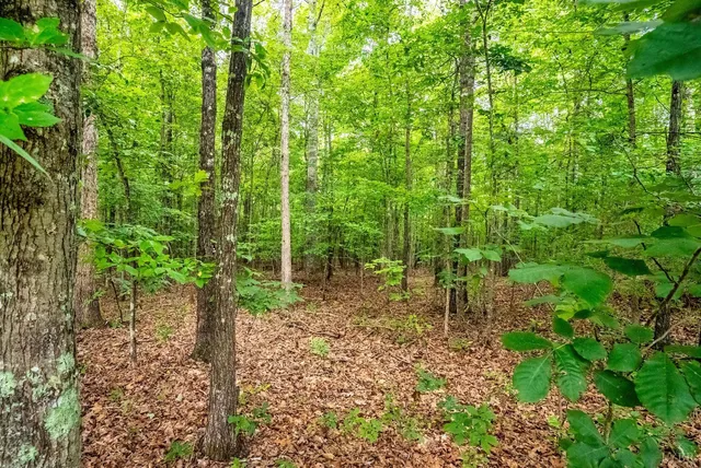 $999,900 | 175 Tracie Drive, Altavista, VA 24517