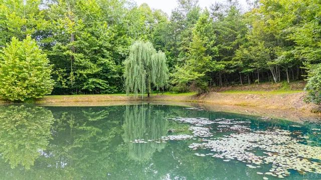 $999,900 | 175 Tracie Drive, Altavista, VA 24517