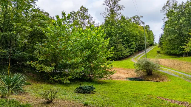 $999,900 | 175 Tracie Drive, Altavista, VA 24517