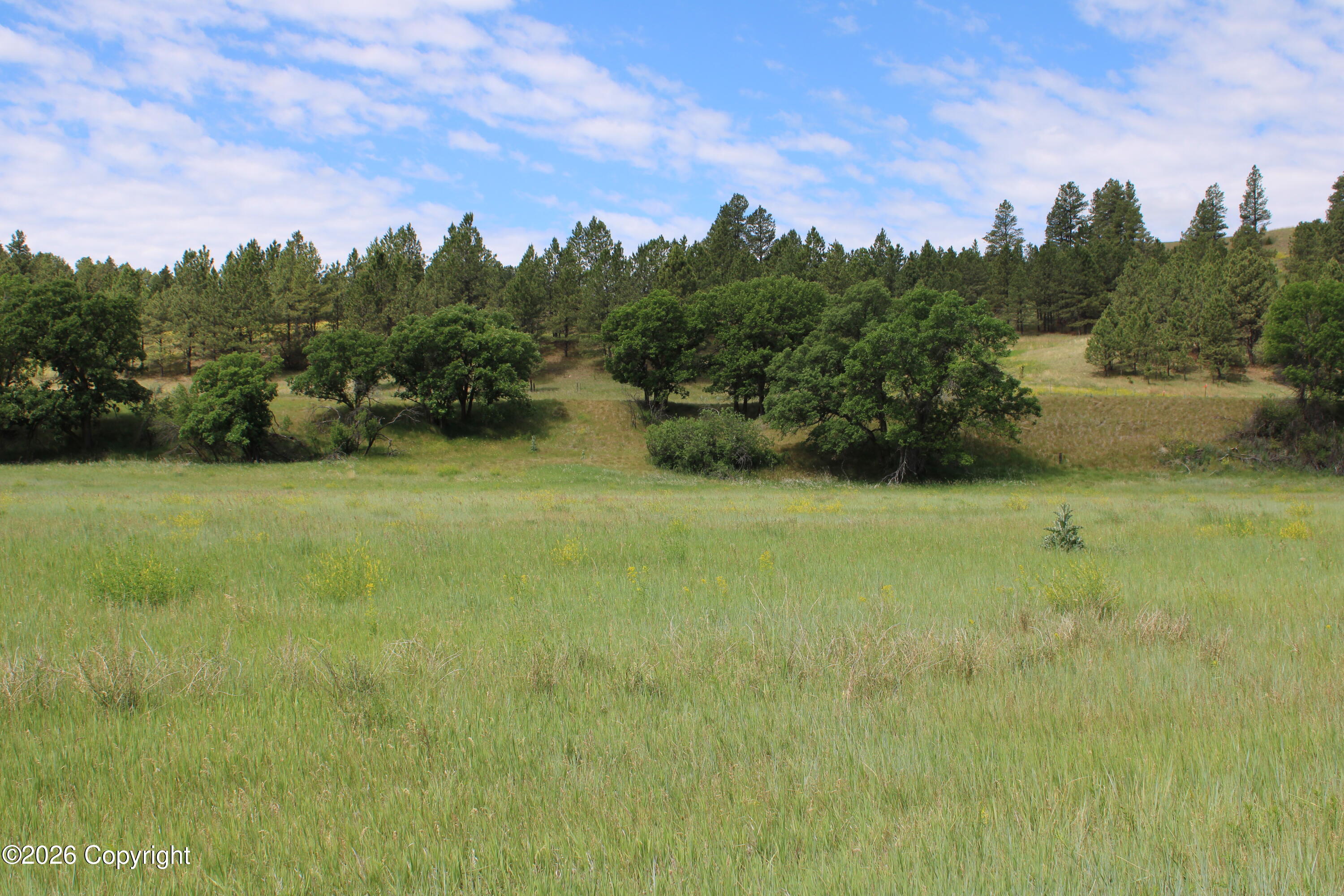 1 Belle River Ranch Hulett, WY 82720 - Photo 25 of 58 Gallery Image 25