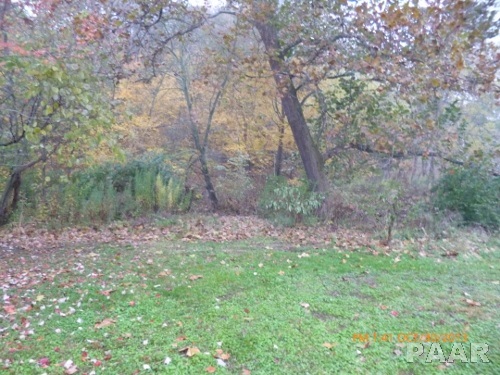 9925 South Reed City Road Mapleton, IL 61547 - Photo 6 of 11