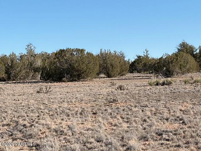 a view of a dry yard with trees in the background