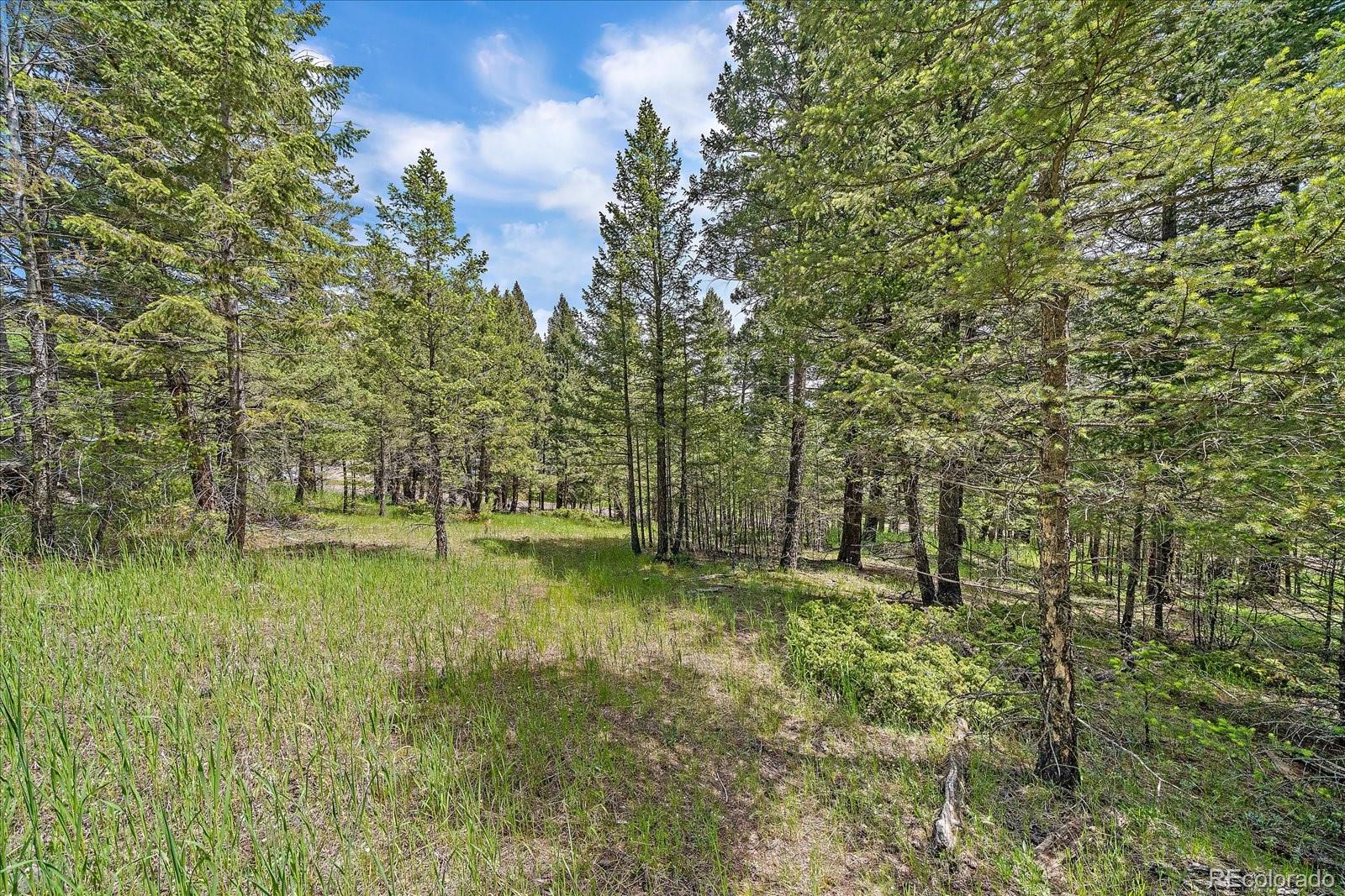 a big yard with lots of green space and trees