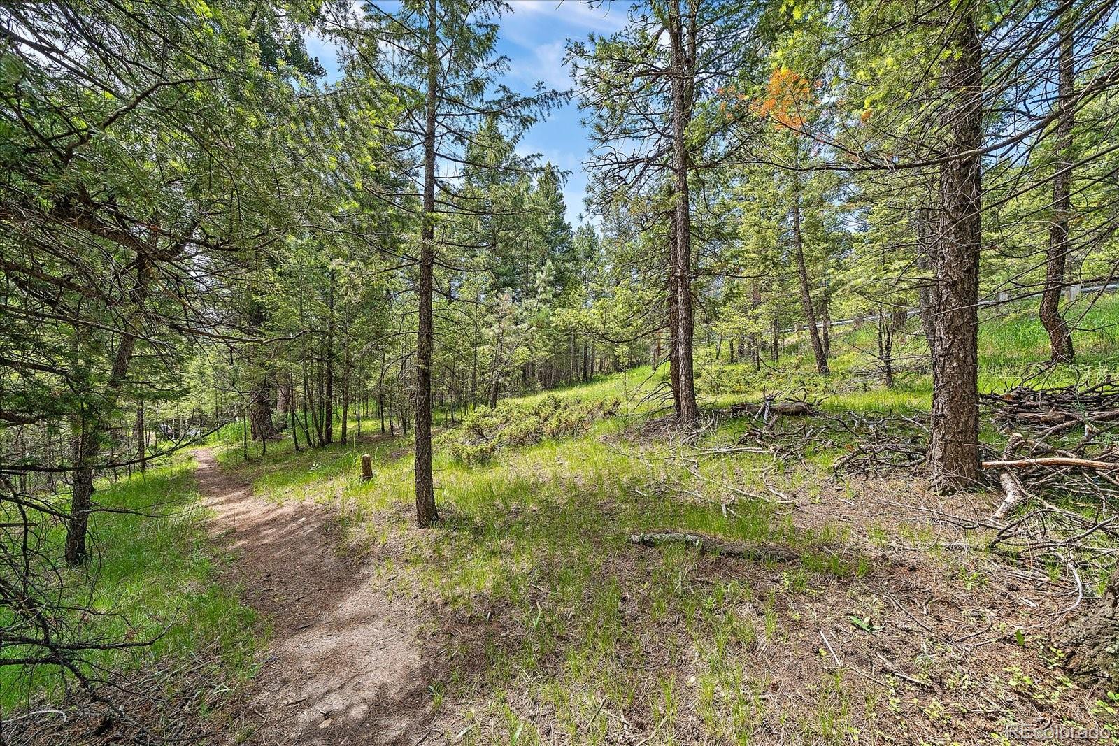 30540 Cobb Road Evergreen, CO 80439 - Photo 4 of 12 a view of outdoor space with trees all around