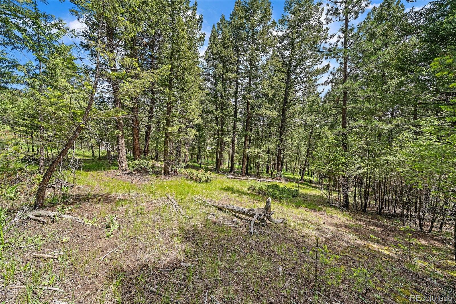 30540 Cobb Road Evergreen, CO 80439 - Photo 5 of 12 a view of a backyard with swimming pool