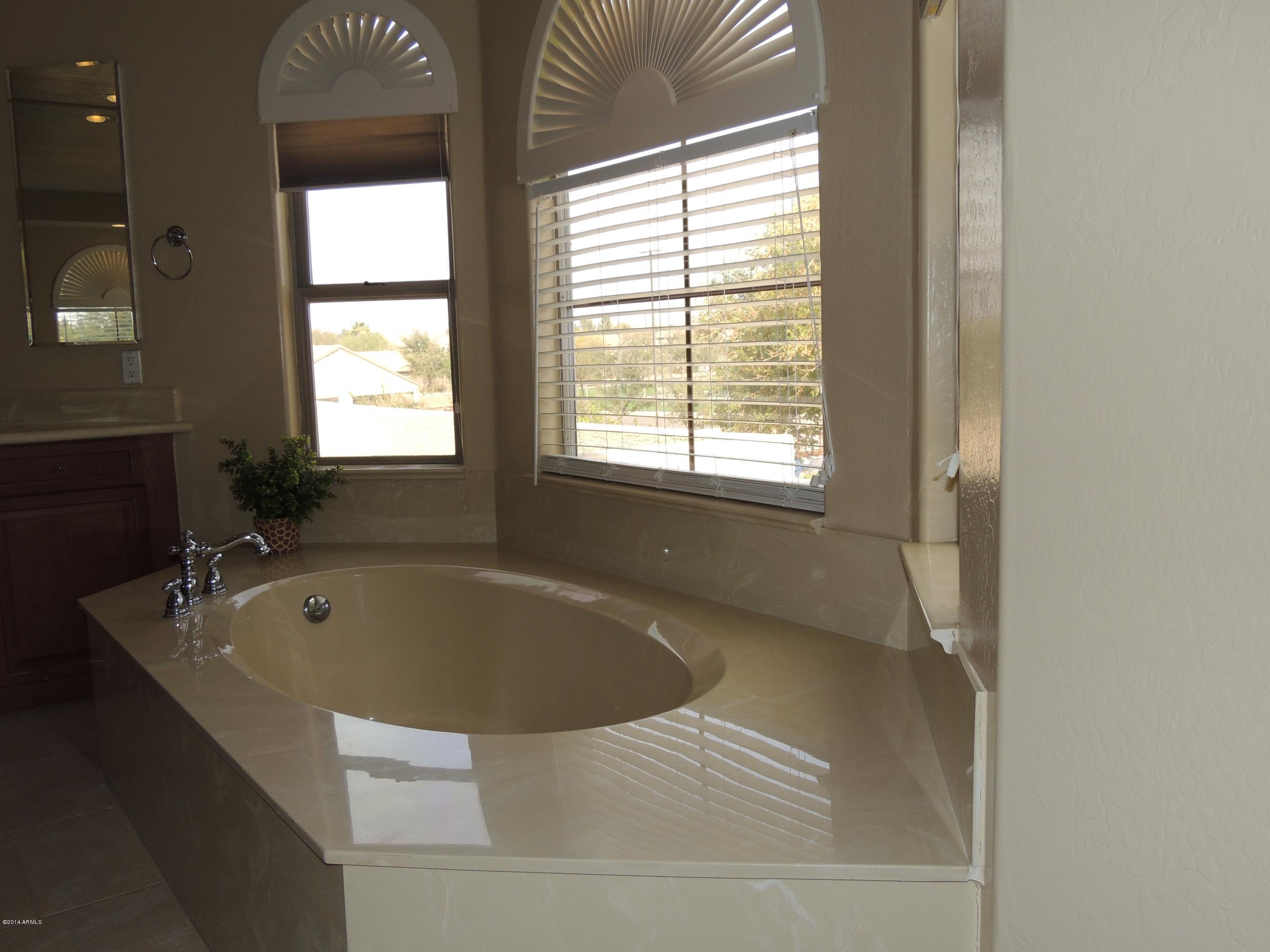 4637 South Bandit Road Gilbert, AZ 85297 - Photo 25 of 49 Garden tub