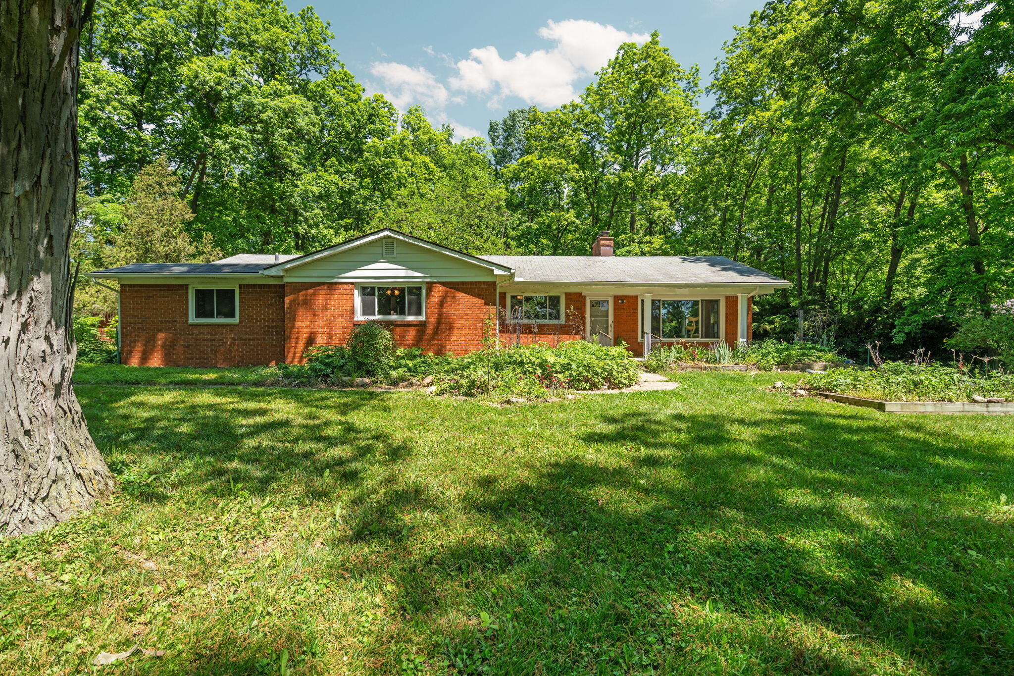 4271 East Willis Road Milan, MI 48160 - Photo 40 of 48 40-web-or-mls-DSC04753