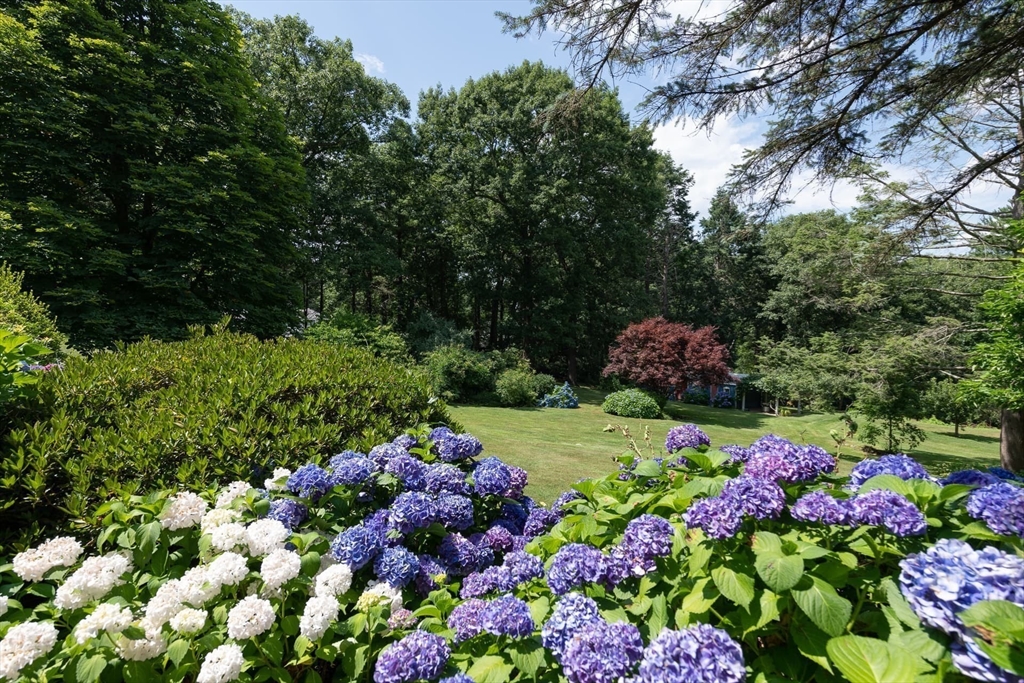 110 Robin Road Weston, MA 02493 - Photo 2 of 40 a bunch of flowers in a garden
