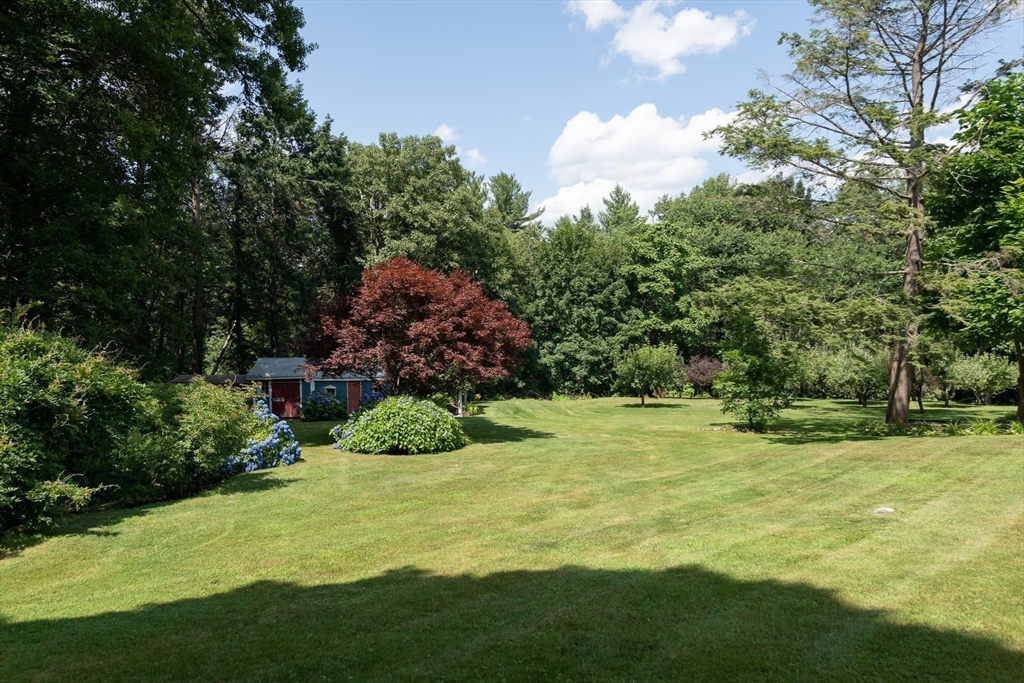 110 Robin Road Weston, MA 02493 - Photo 31 of 40 a view of a big yard with plants and large trees