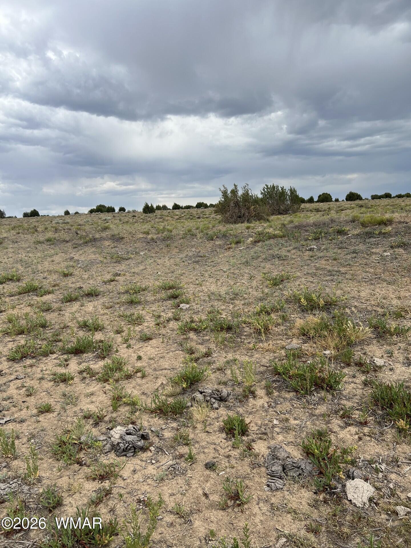 Tbd 8206 Concho, AZ 85924 - Photo 8 of 12