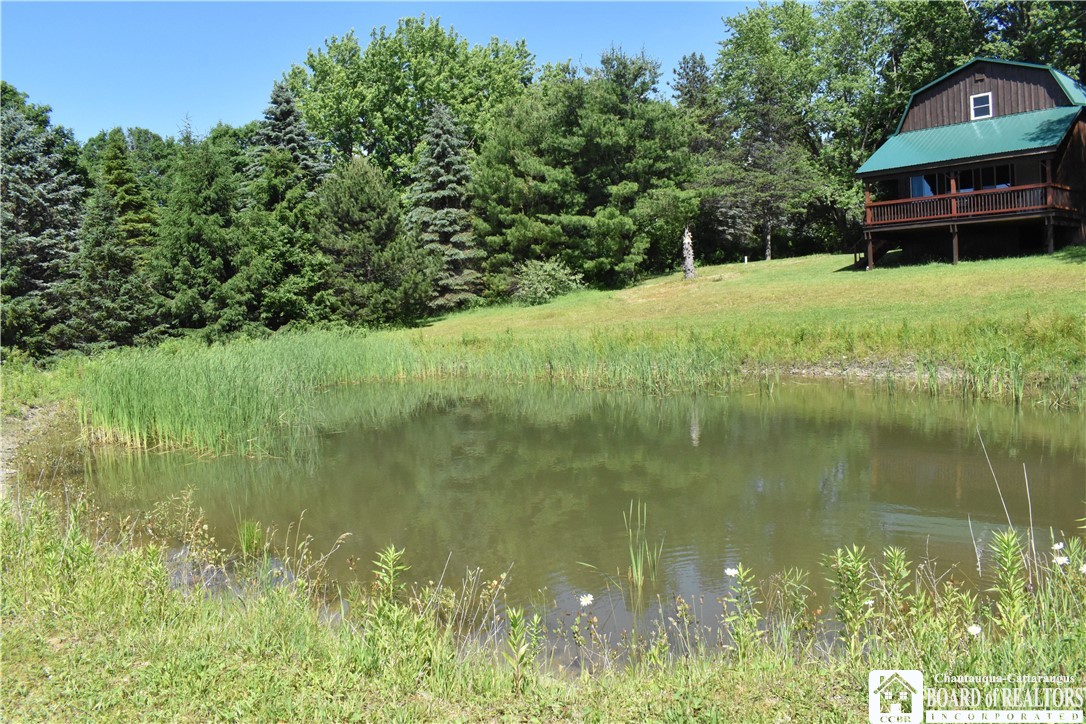 9504 Forty Road Cattaraugus, NY 14719 - Photo 32 of 38