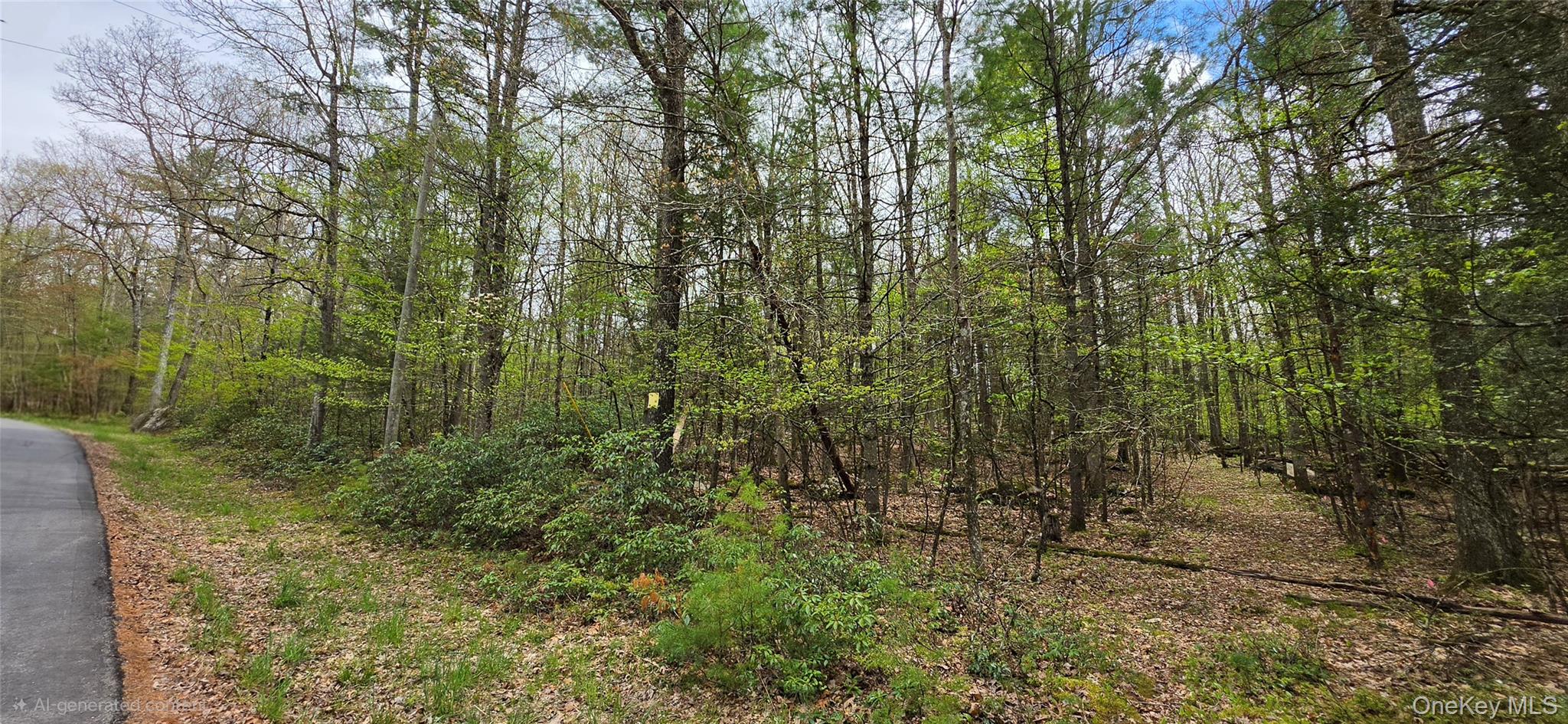 Lot 82 Perry Pond Road Narrowsburg, NY 12764 - Photo 10 of 14