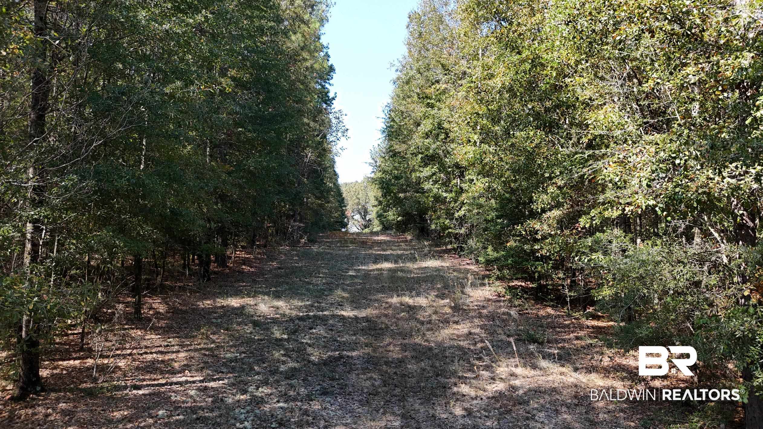 287 Green Road Castleberry, AL 36432 - Photo 33 of 53