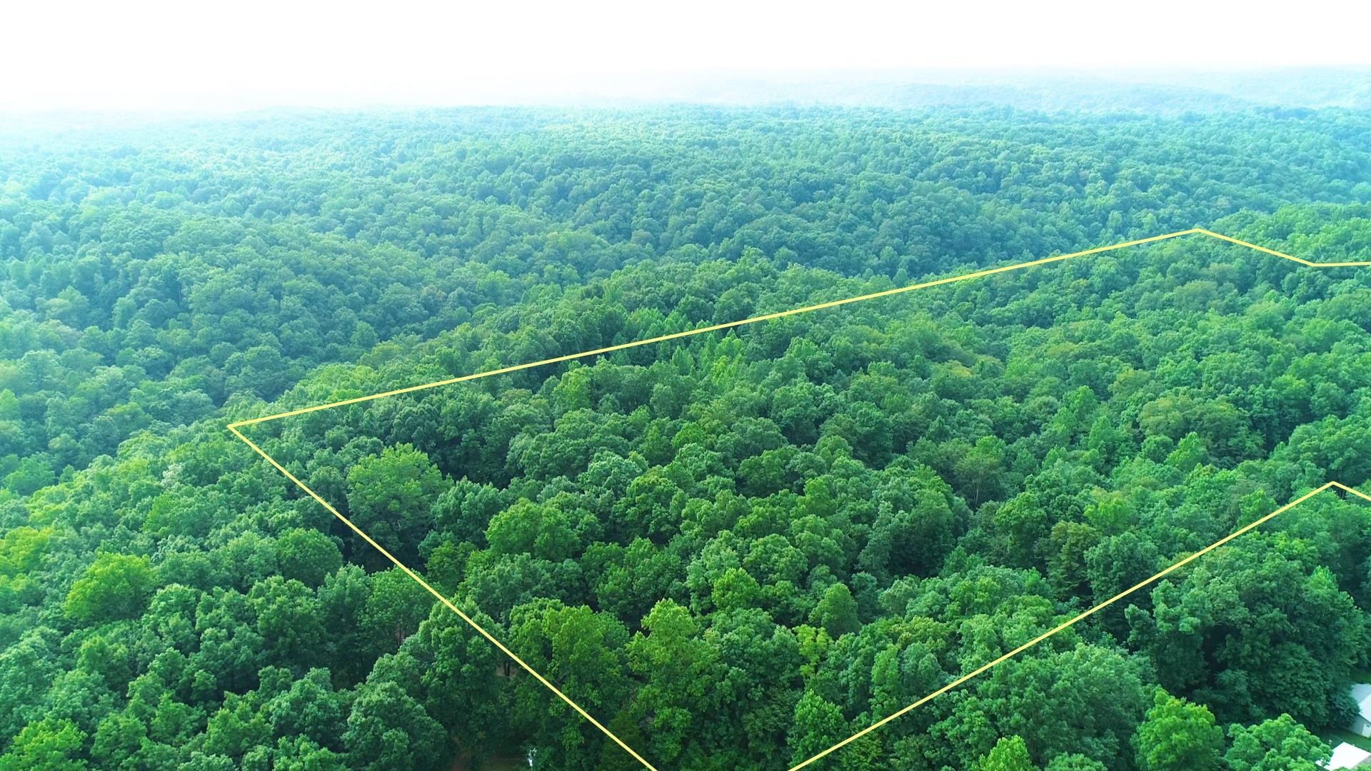 5956 Natchez Trace Road Franklin, TN 37064 - Photo 4 of 14 a view of a forest with a street
