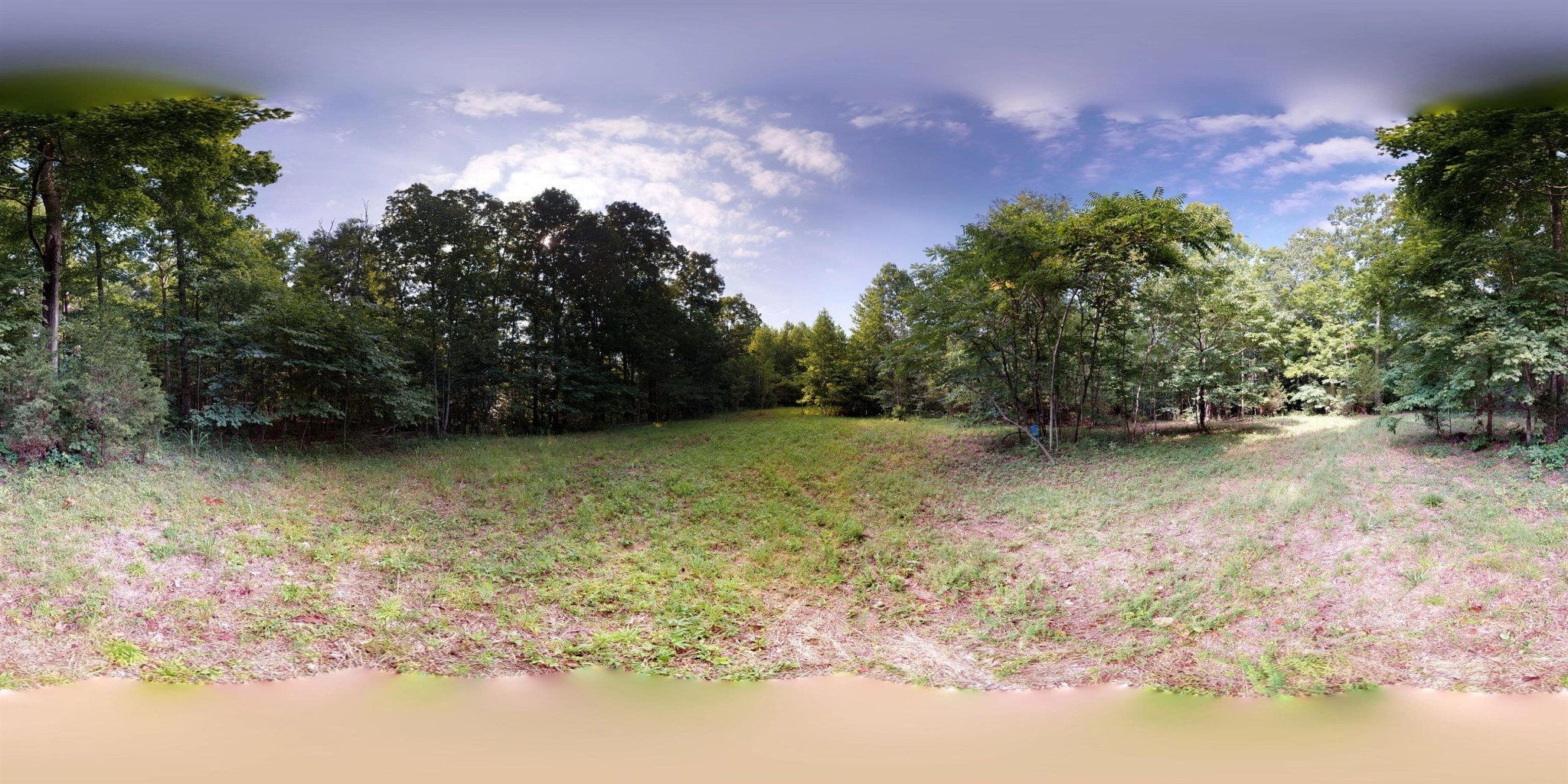 5956 Natchez Trace Road Franklin, TN 37064 - Photo 10 of 14 a view of outdoor space and yard