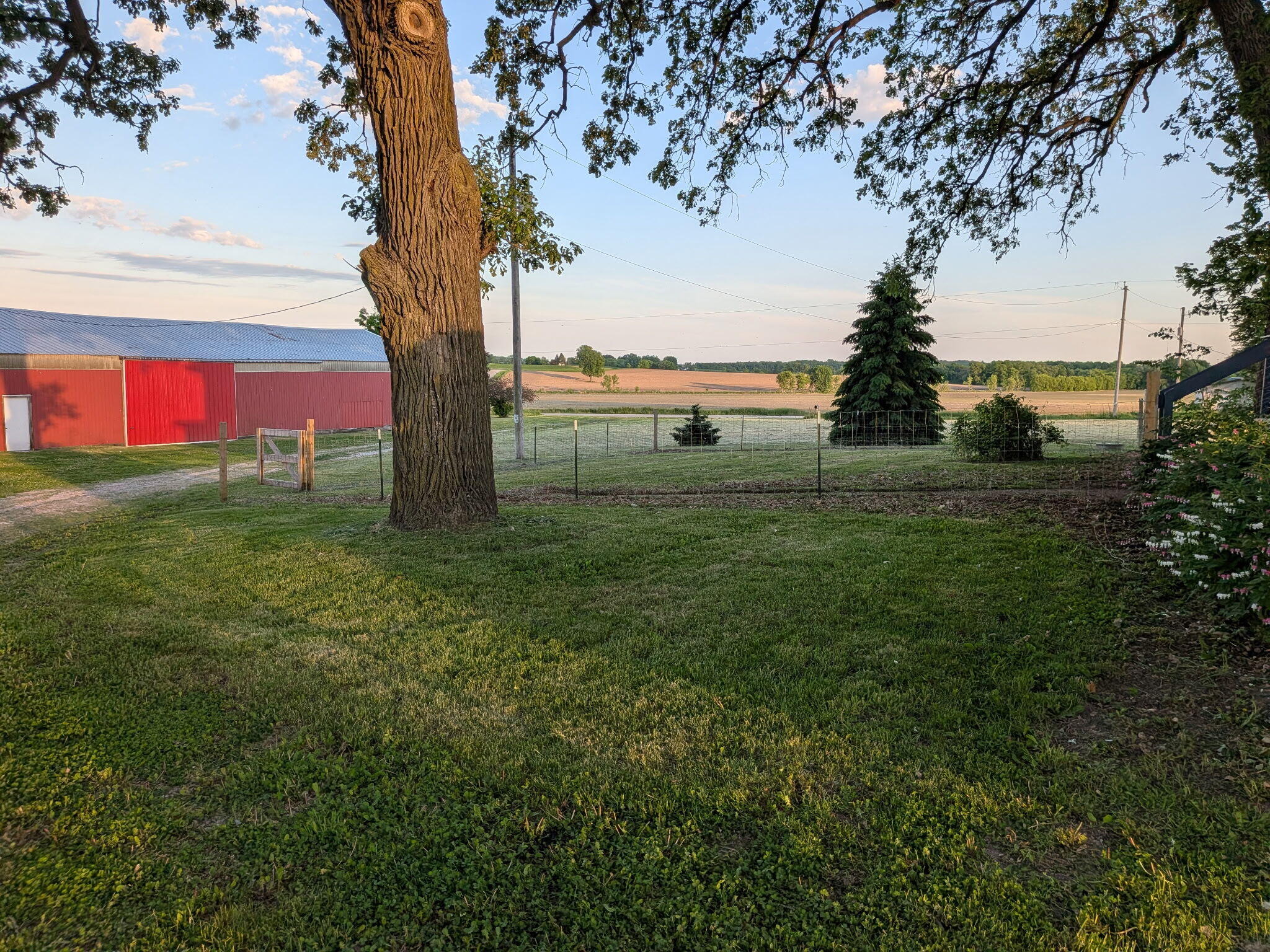 W12040 Sullivan Road Portland, WI 53594 - Photo 56 of 57 Front fenced yard