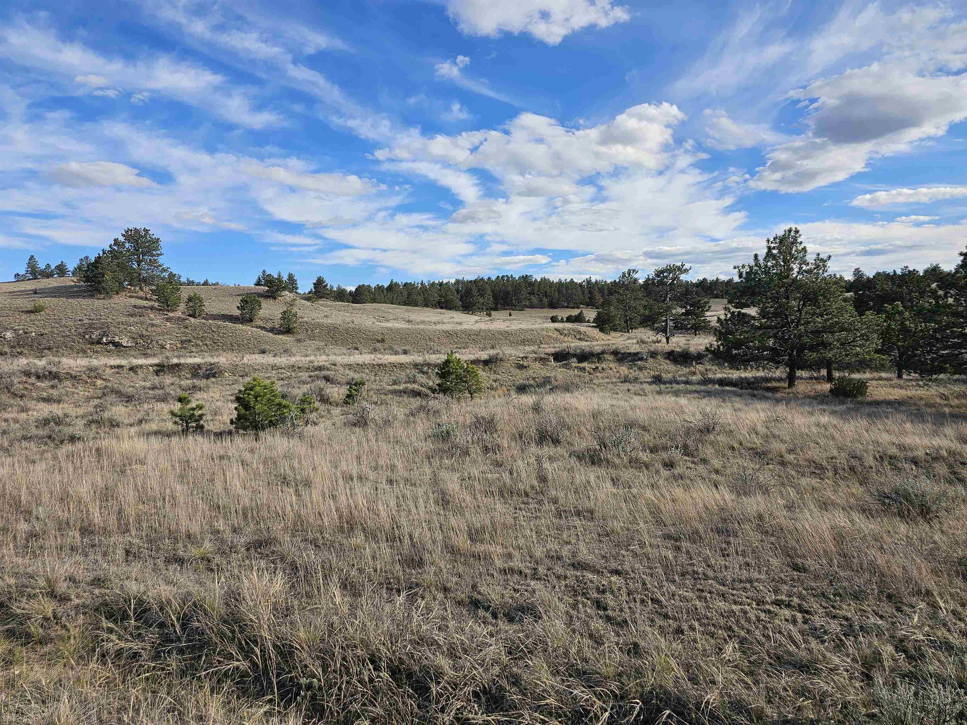 52 Wendover Road Guernsey, WY 82214 - Photo 24 of 42