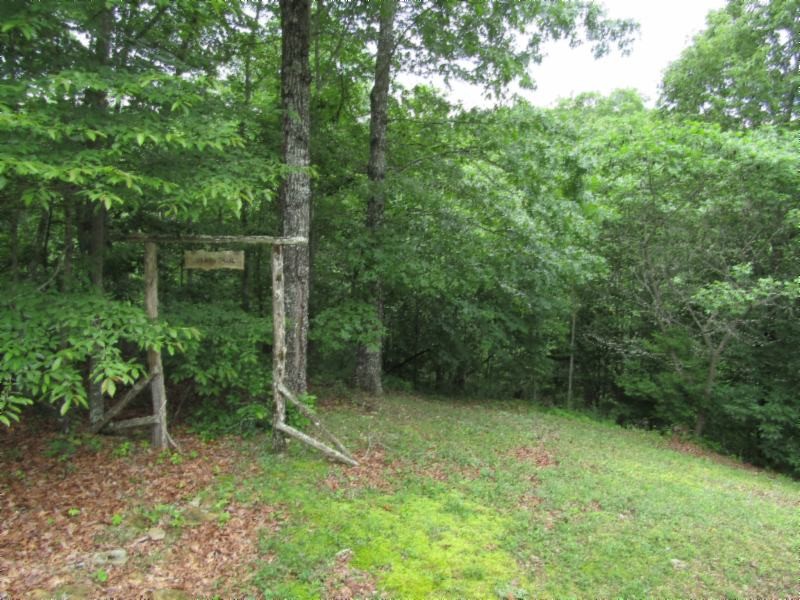 241 Simple Life Road Hilham, TN 38568 - Photo 29 of 30 Gallery Image 29