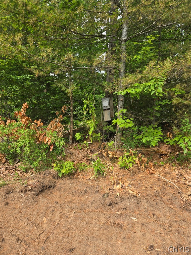3516 Marmon Road Lyonsdale, NY 13433 - Photo 4 of 11