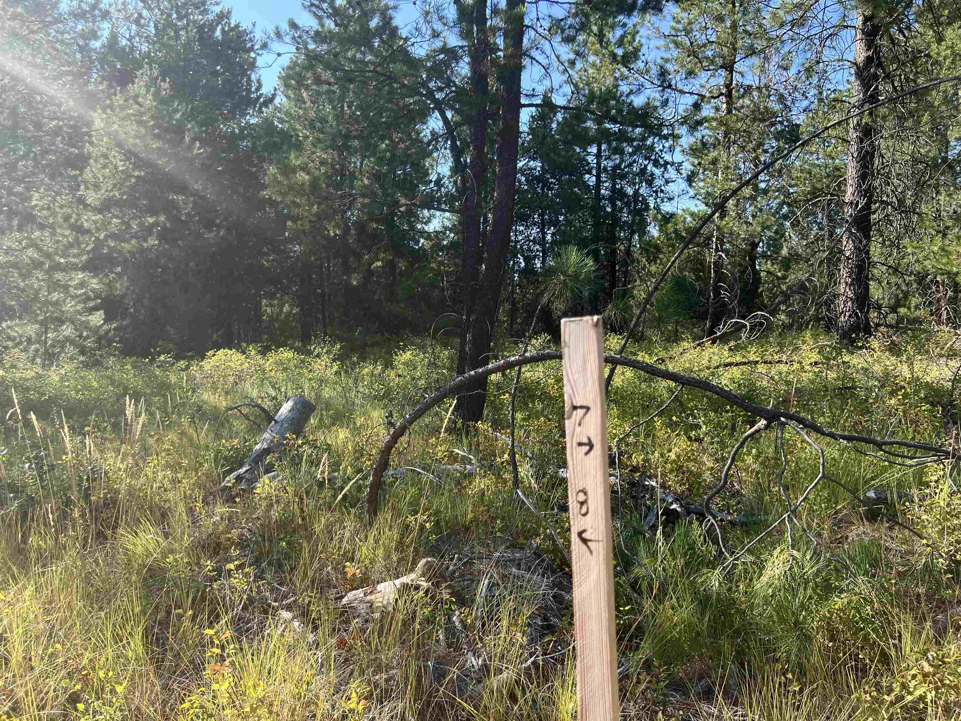 Nka West Findley Road, Unit LOT 8 Deer Park, WA 99006 - Photo 2 of 12