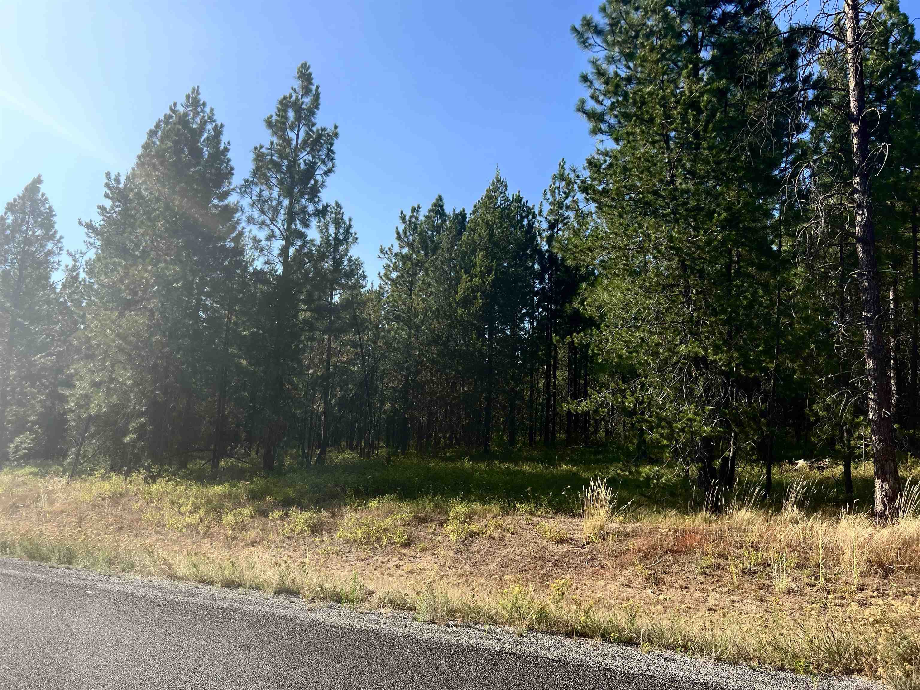 Nka West Findley Road, Unit LOT 8 Deer Park, WA 99006 - Photo 4 of 12