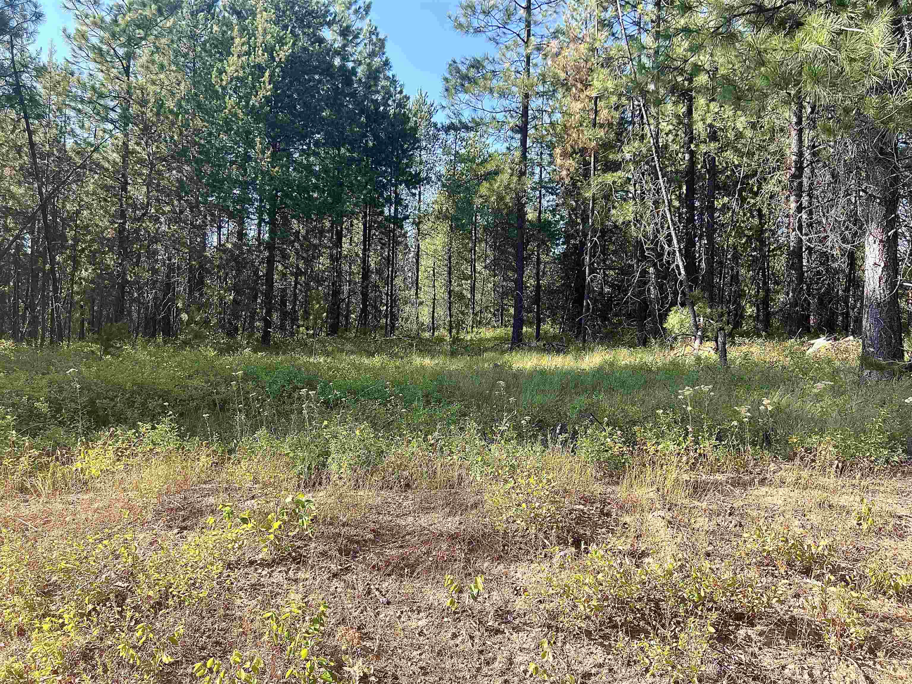 Nka West Findley Road, Unit LOT 8 Deer Park, WA 99006 - Photo 5 of 12