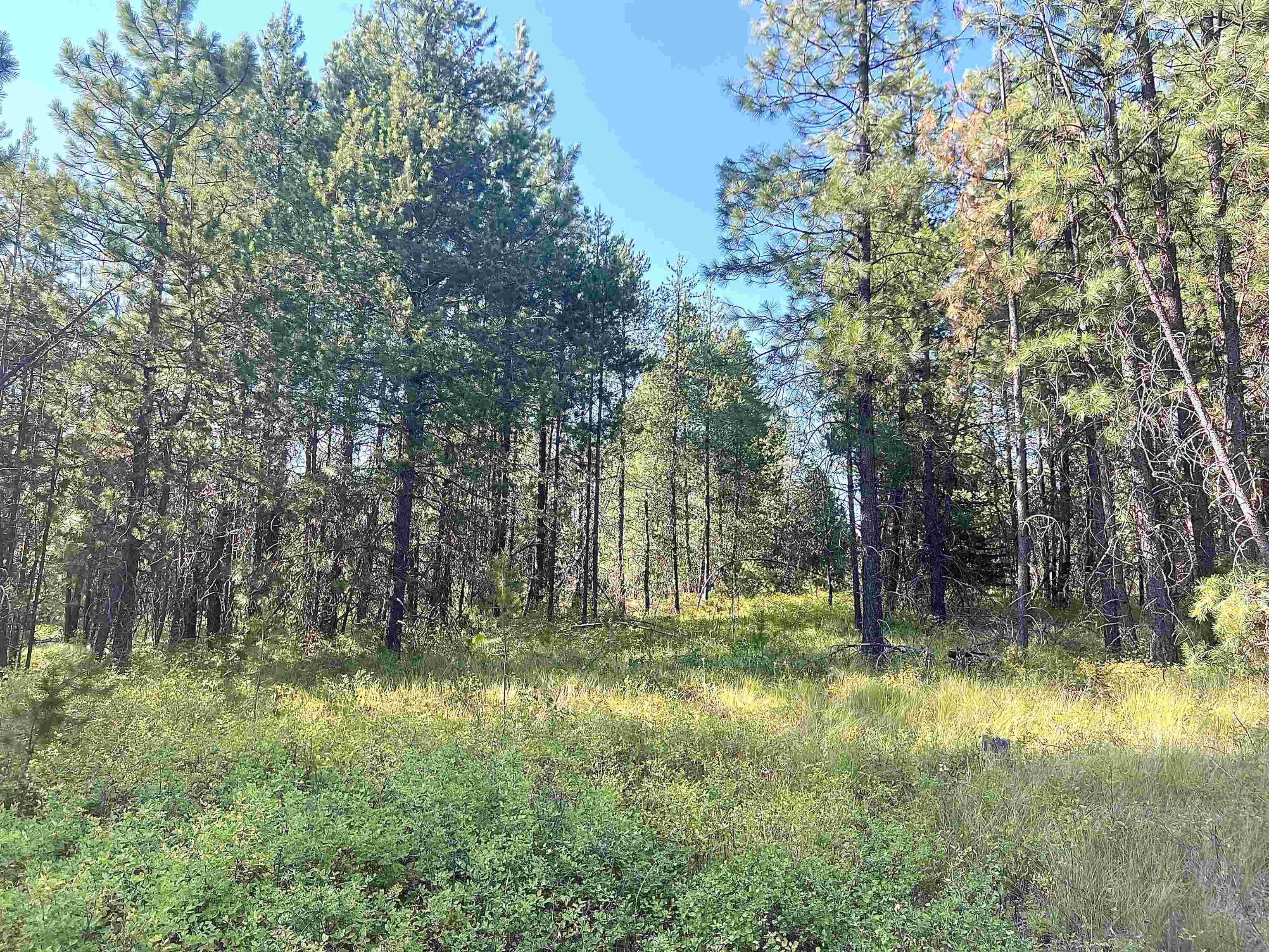 Nka West Findley Road, Unit LOT 8 Deer Park, WA 99006 - Photo 6 of 12