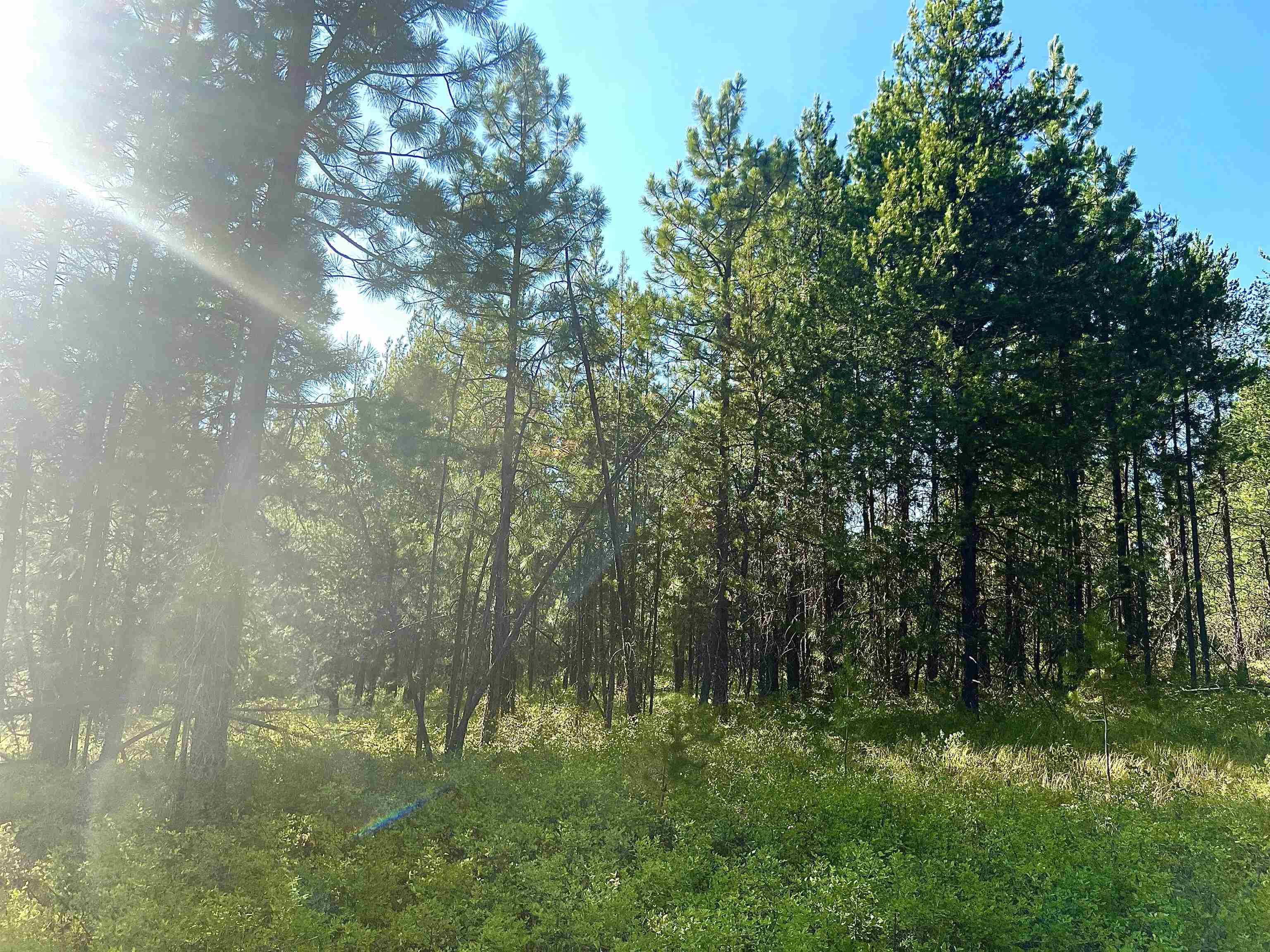 Nka West Findley Road, Unit LOT 8 Deer Park, WA 99006 - Photo 7 of 12