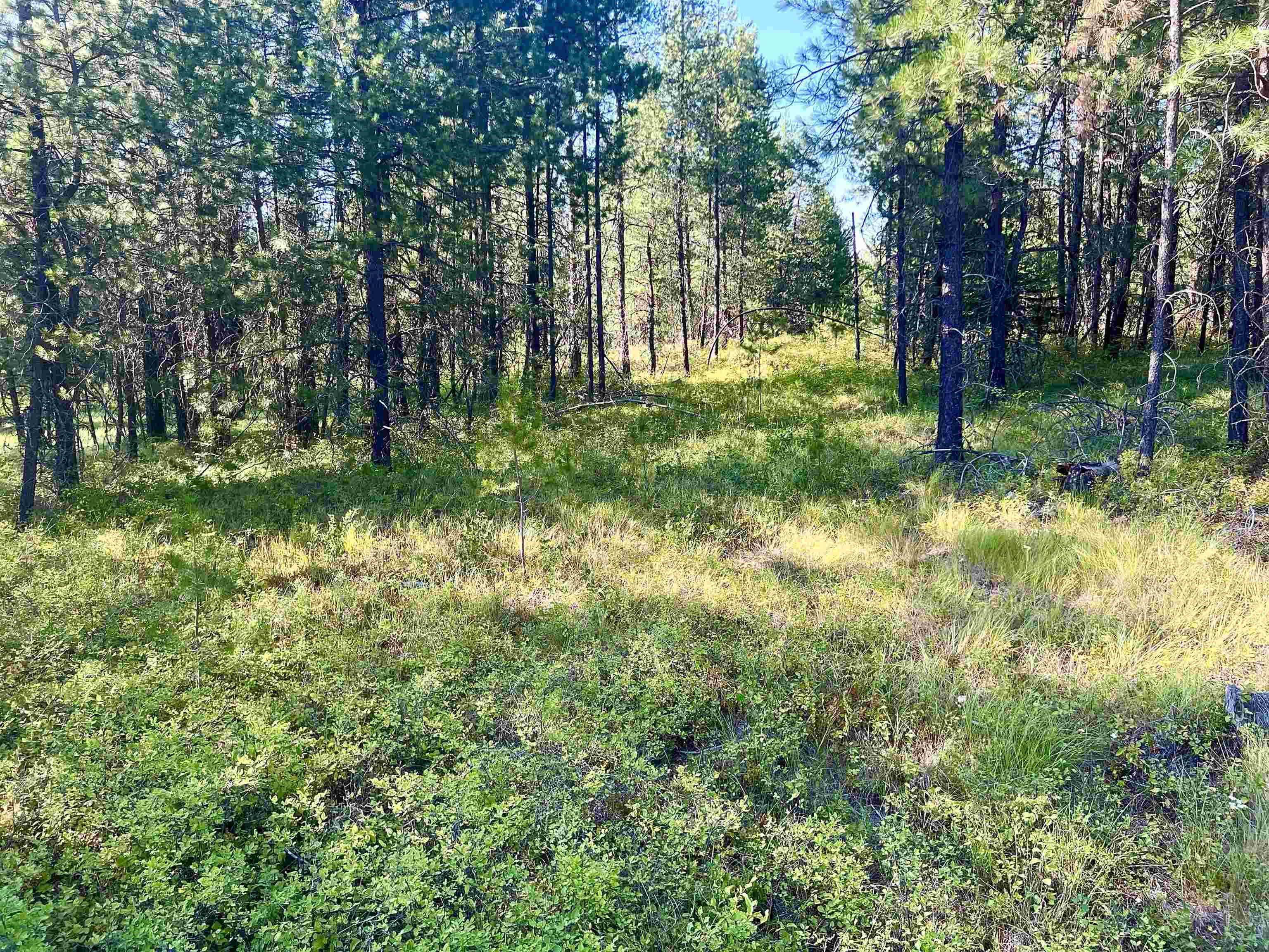 Nka West Findley Road, Unit LOT 8 Deer Park, WA 99006 - Photo 9 of 12