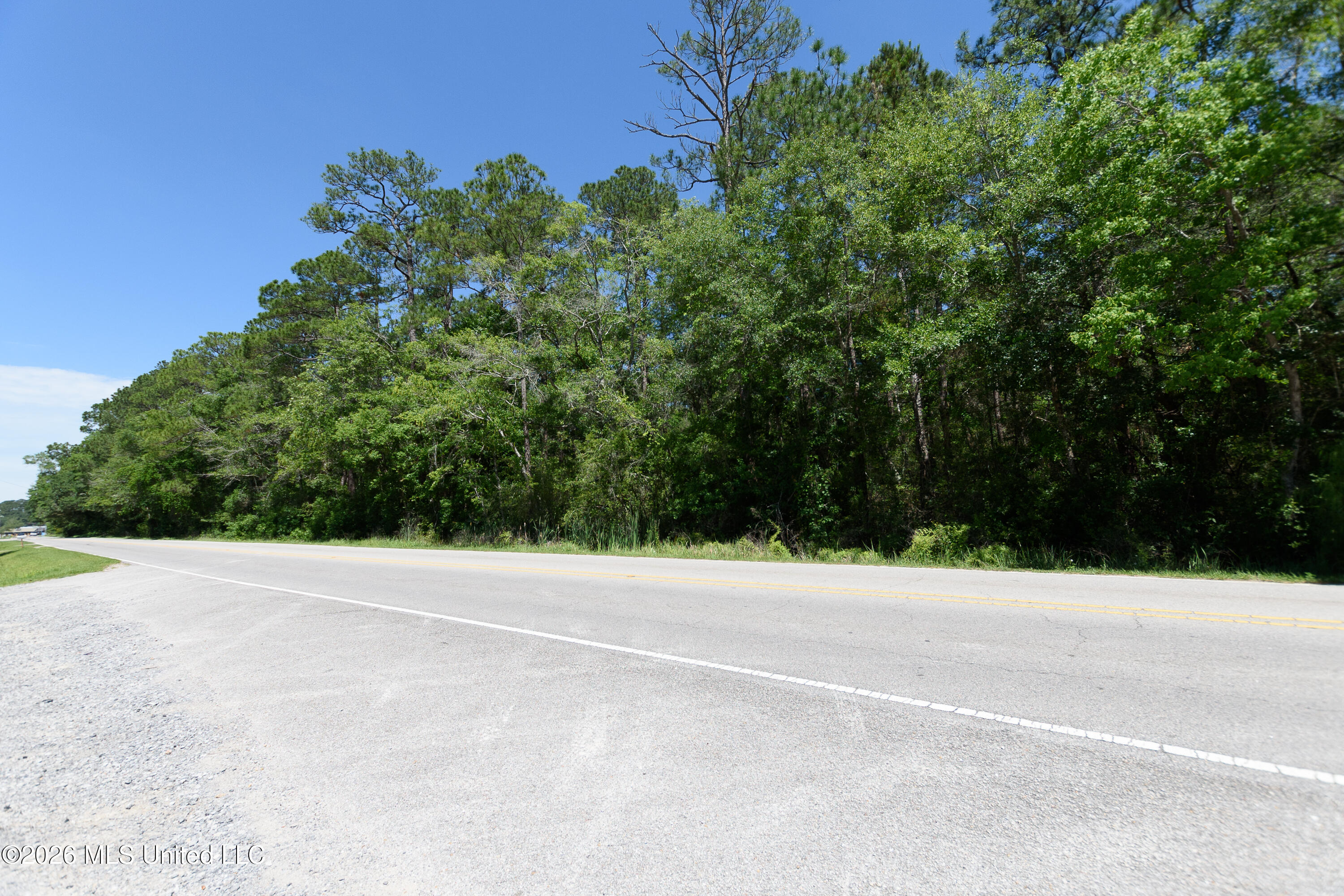 East Saracennia Road Moss Point, MS 39563 - Photo 5 of 6 DSC_0016