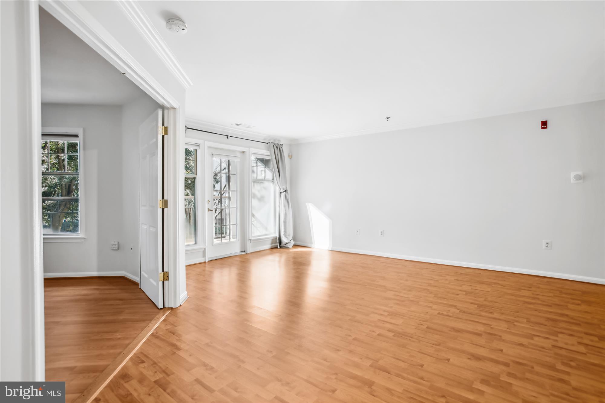 5575 Seminary Road, Unit 201 Falls Church, VA 22041 - Photo 5 of 46 Living Room