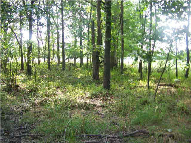 0 Crow Road Mount Vernon, IN 47620 - Photo 1 of 1 Gallery Image 1
