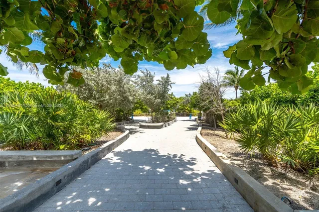 a view of a yard with plants