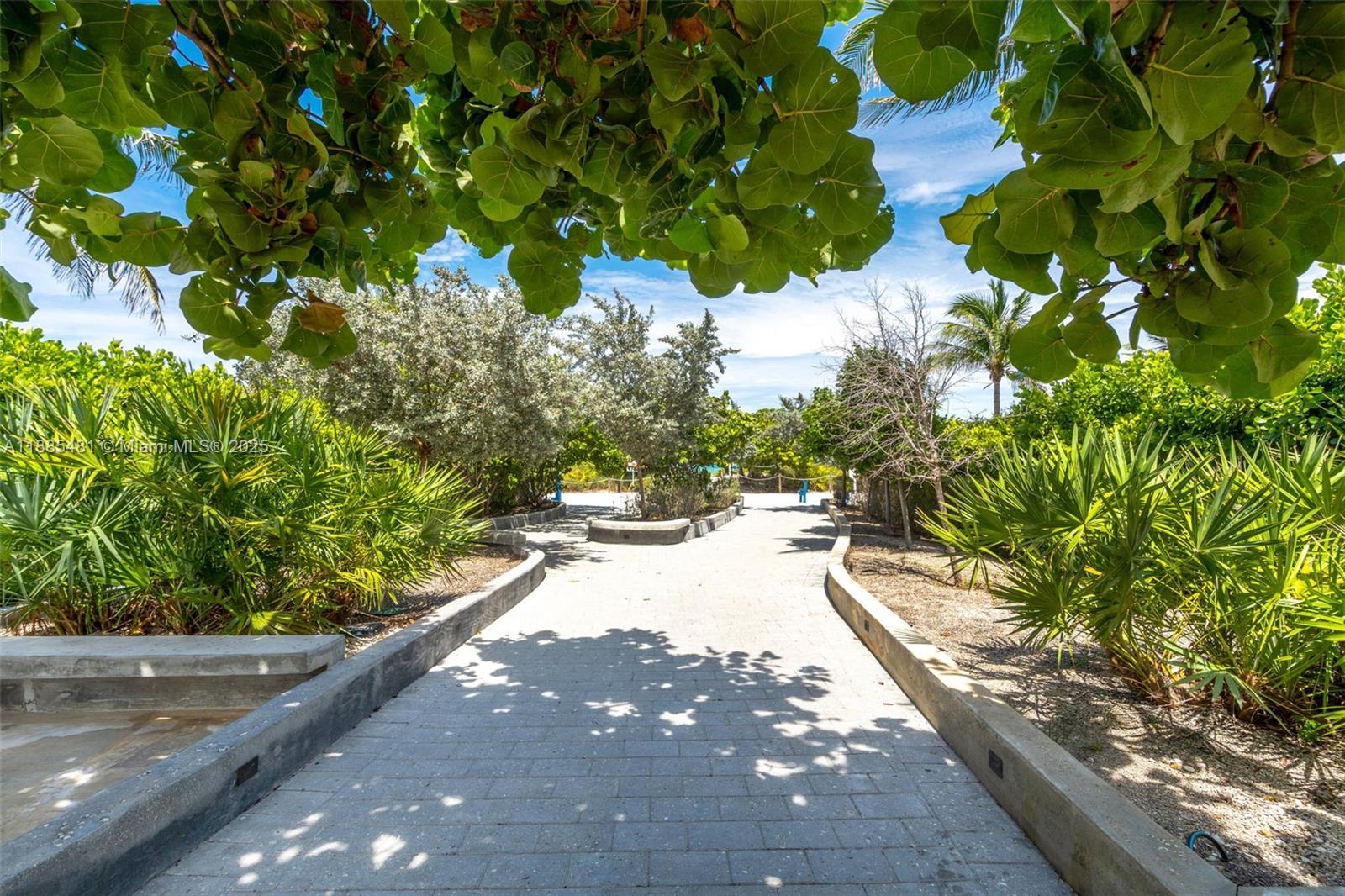 8877 Collins Avenue, Unit 303 Surfside, FL 33154 - Photo 23 of 25 a view of a yard with plants