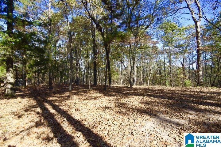 1189 County Road 46 Montevallo, AL 35115 - Photo 4 of 56