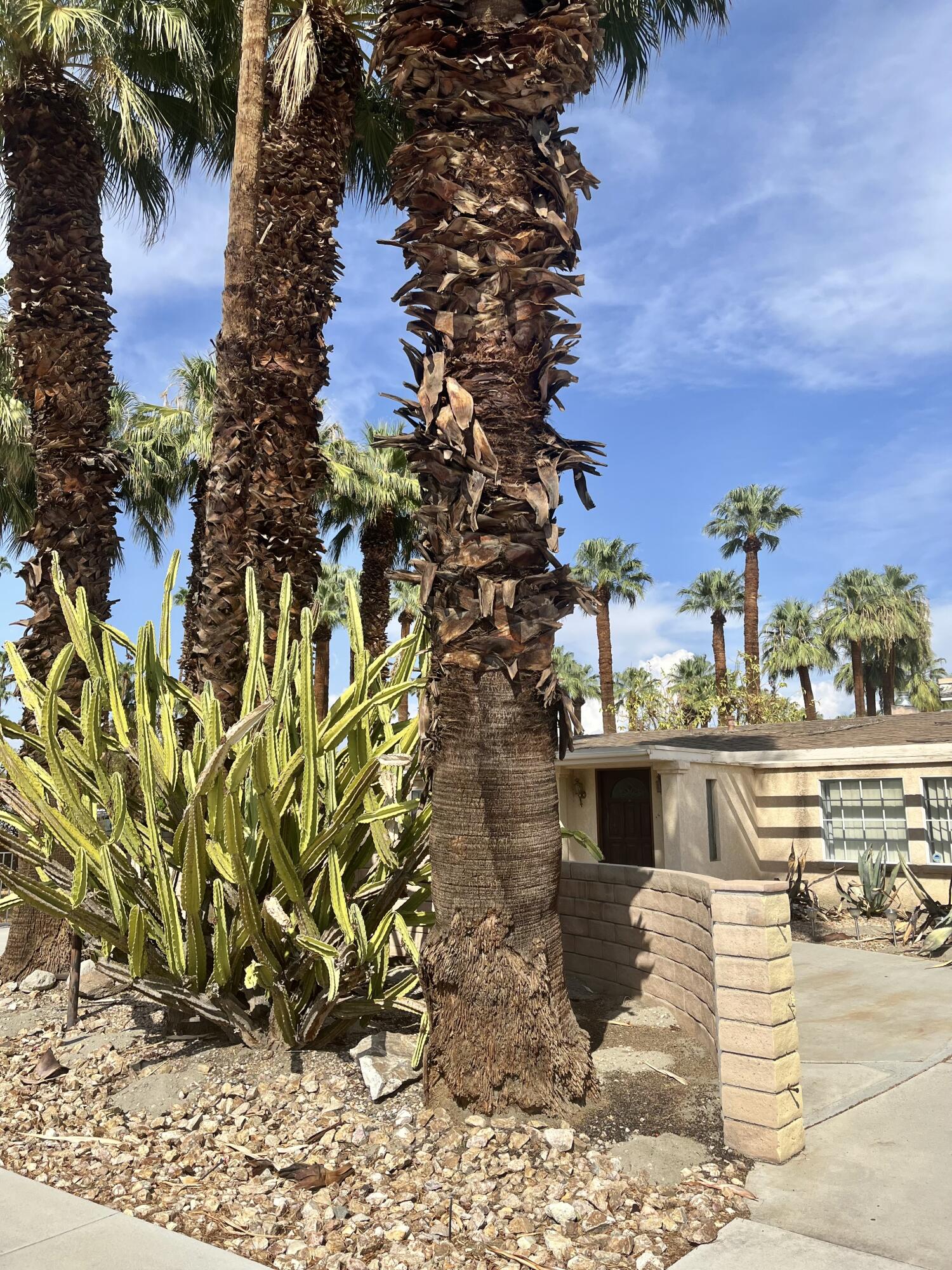 37520 Da Vall Drive Rancho Mirage, CA 92270 - Photo 6 of 23 a view of a terrace with a garden