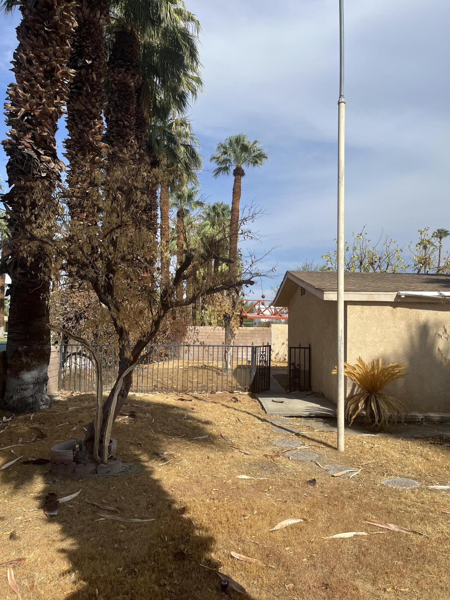 37520 Da Vall Drive Rancho Mirage, CA 92270 - Photo 8 of 23 a view of a tree in front of a building