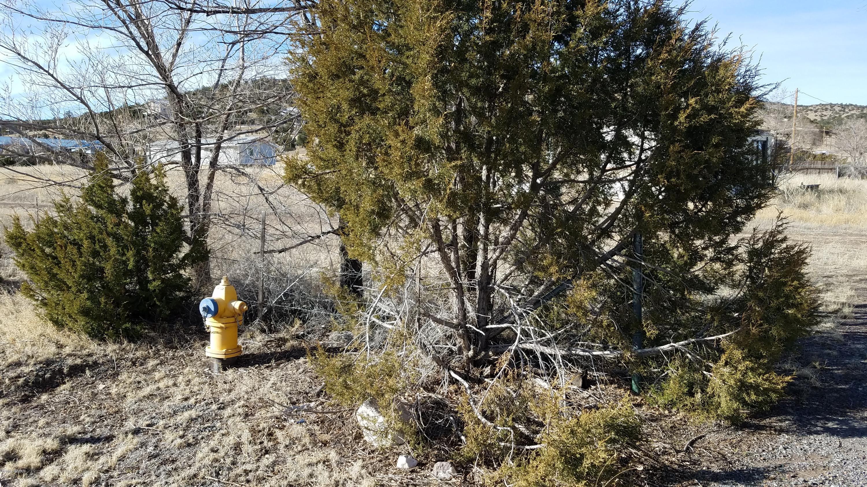 180/191 Springerville Az 85938 Springerville, AZ 85938 - Photo 2 of 12
